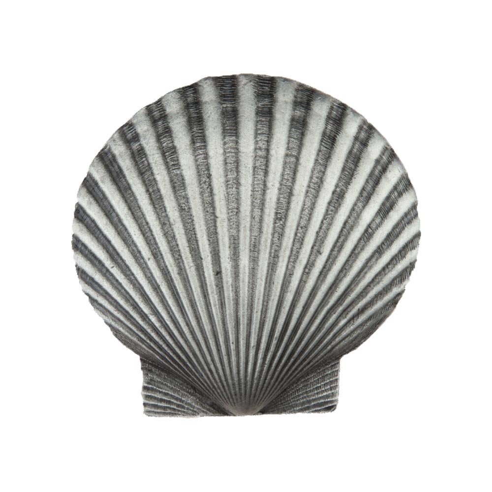 1 5/8" Large Scallop Knob in Antique Pewter