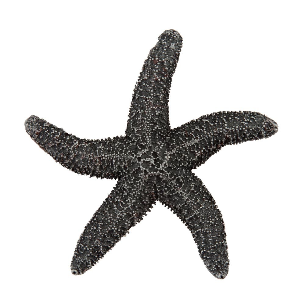 2 1/4" Natural Starfish Knob in Antique Pewter