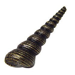 Small Turritella Knob in Antique Matte Brass