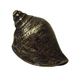 Voluntidae Conch Knob in Antique Matte Copper