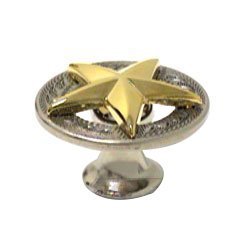 Filigree Star Knob in Old Silver and Gold