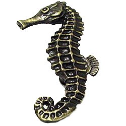 Large Seahorse Knob Facing Left in Oil Rubbed Bronze