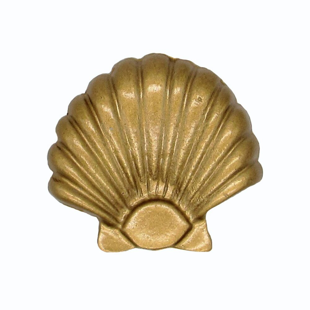 Large Seashell Knob in Lux Gold