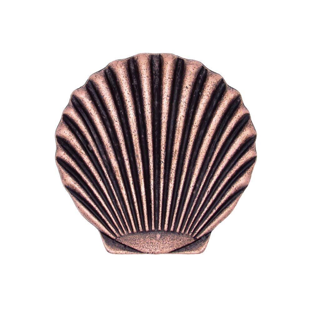 Scallop Seashell Knob in Antique Copper