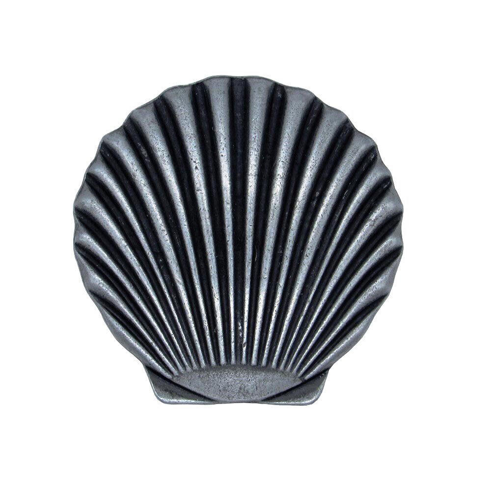 Scallop Seashell Knob in Pewter