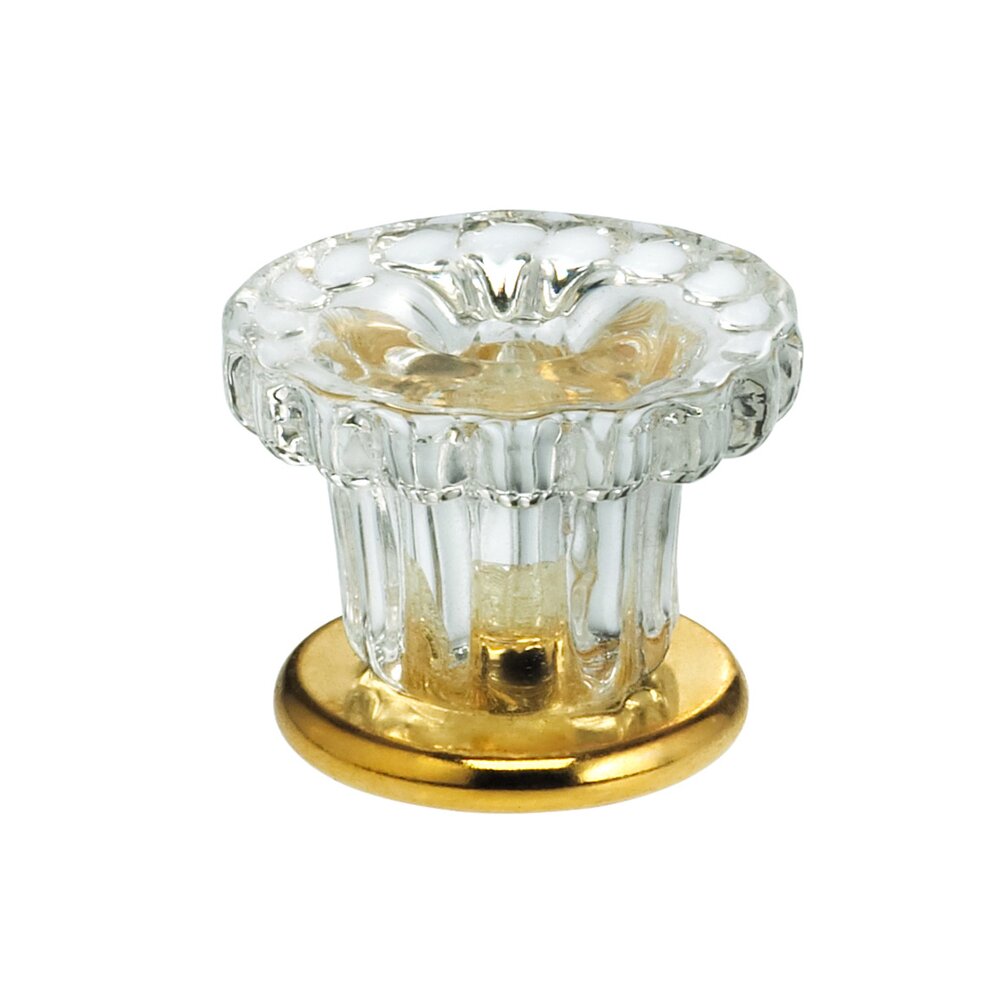 30mm Clear Glass Fountain Knob with Polished Brass Base