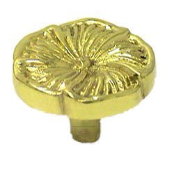 Daisy Knob in Polished Brass