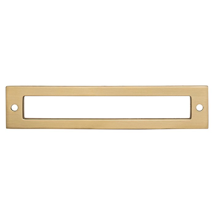 Hollin 5 1/16" Centers Pull Backplate in Honey Bronze