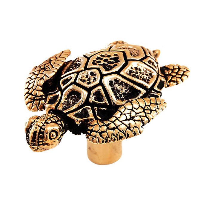 Turtle Knob in Antique Gold