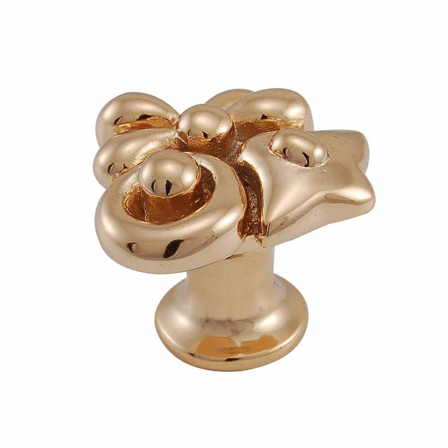 Abstract Knob in Polished Gold