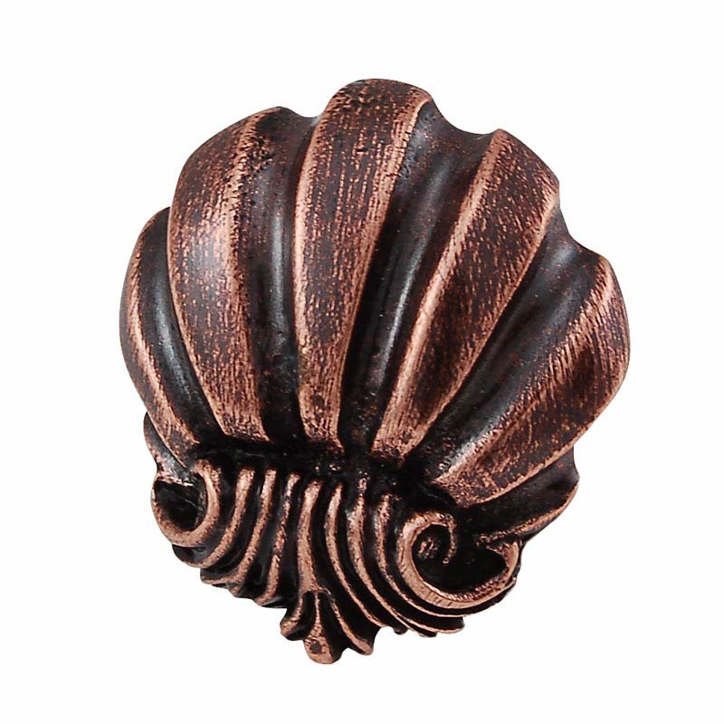 Large Shell Design Knob in Antique Copper