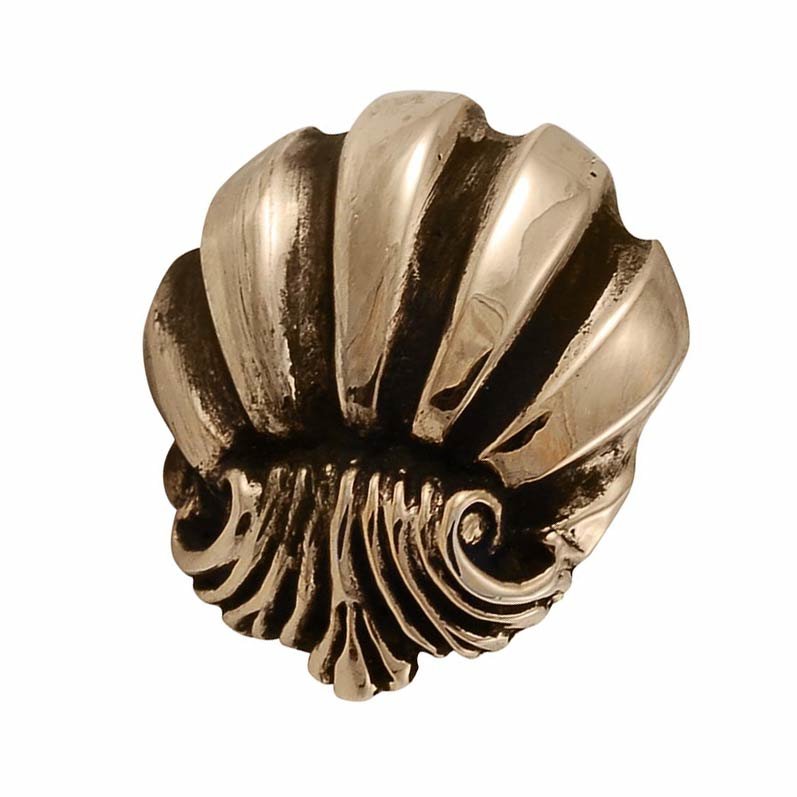 Large Shell Design Knob in Antique Gold