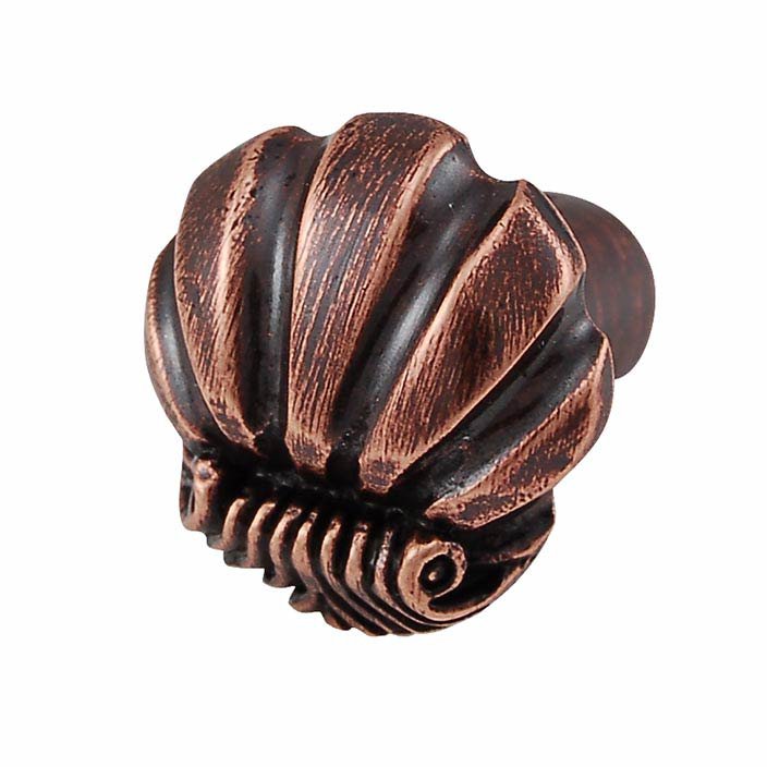 Small Shell Design Knob in Antique Copper