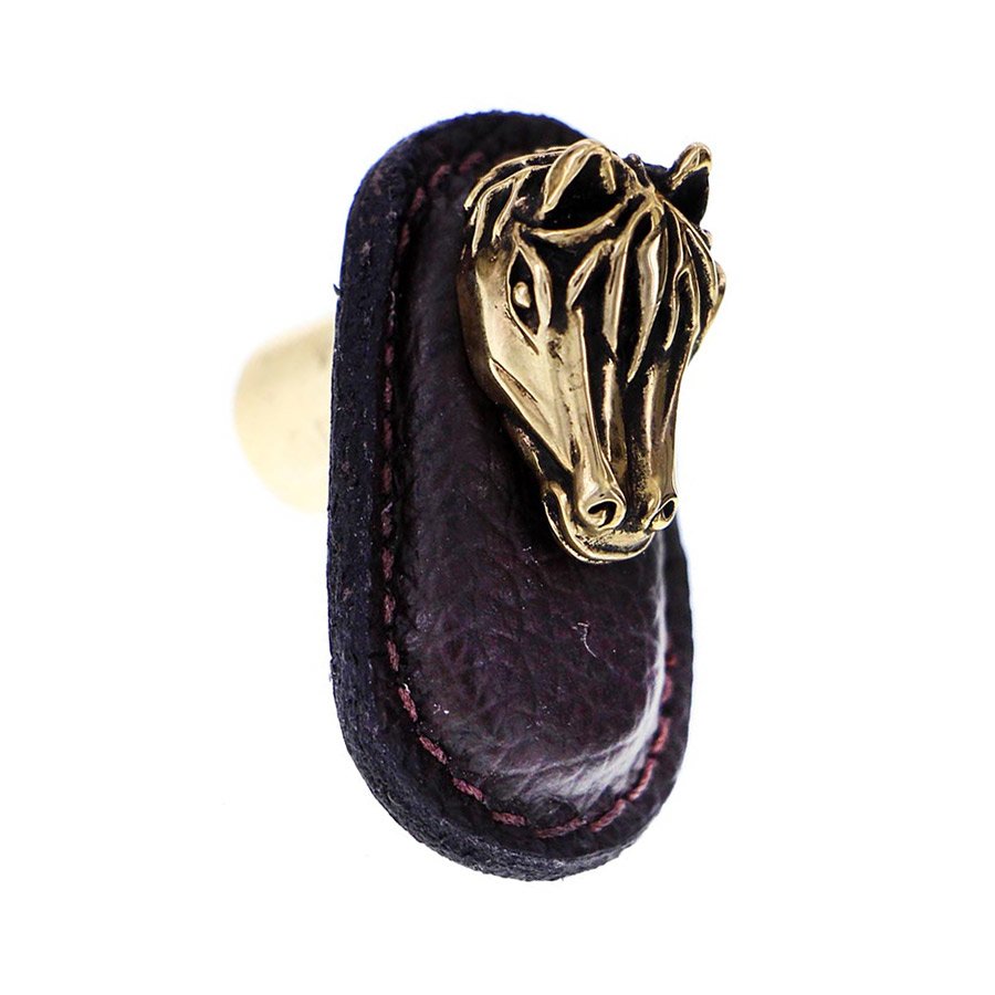 Leather Collection Cavallo Knob in Brown Leather in Antique Gold