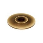 Solid Brass 3/4" Backplate in Polished Antique