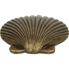 Clamshell Knob in Burnished Bronze