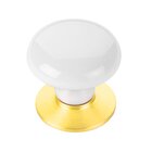 1 3/8" Diameter Ice White Porcelain Knob in Polished Brass