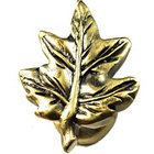 Maple Leaf Knob in Antique Brass